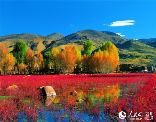 �����Ŵ�����򲻿���ʲôԭ��