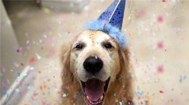 �۽���ۺ�լʹʴ500�����ֶ��Ϲ���������ǿ������뵱�ȼ���