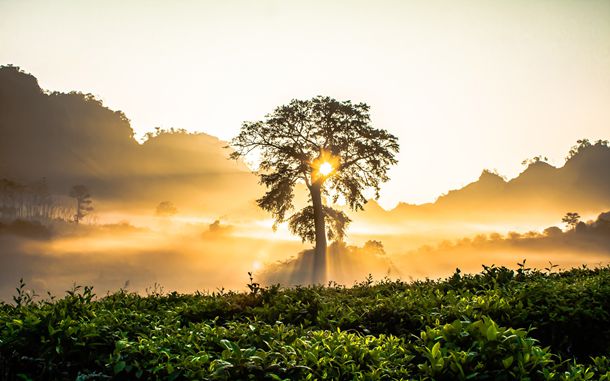 刘昊然出轨网红的瓜?任敏和金主结婚?黄晓明买断baby抚养拳?某流量男星白眼狼?小扒问答回复 刘昊然出轨网红的瓜?任敏和金主结婚?黄晓明买断baby抚养拳?某流量男星白眼狼?小扒问答回复