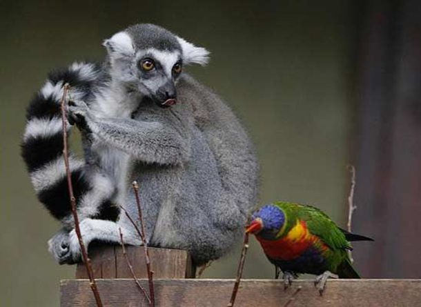 �ҵı�������컹Ҫ���ҽ�飬�����Ҫ���ҷ���