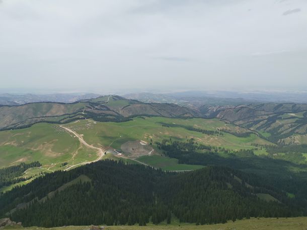 ˫ָ̽���о�Ҫ���� ԭ����������