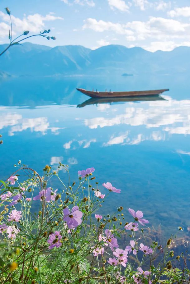 ��ȫ��52mm��ֱָ������ȫ�׵�ֱ���Ϳ�����ʲô��˼