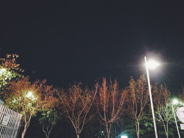 �й����ټ����ʺ��������� �����򻨡��쳹������