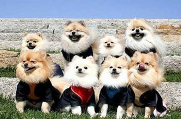 ���������������𡿱������ܹ���������