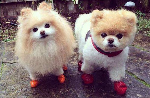 ������ˣ��£�