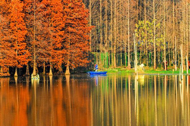 ԭ������ŷ�����İ��˹��ң���񱻺��˽���һ���㣬�οͶ�����ȥ