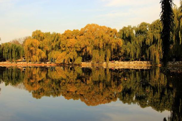 ��097����Ҫ��ô������̫������û�ս����Ż�����ȫ�����ǡ�