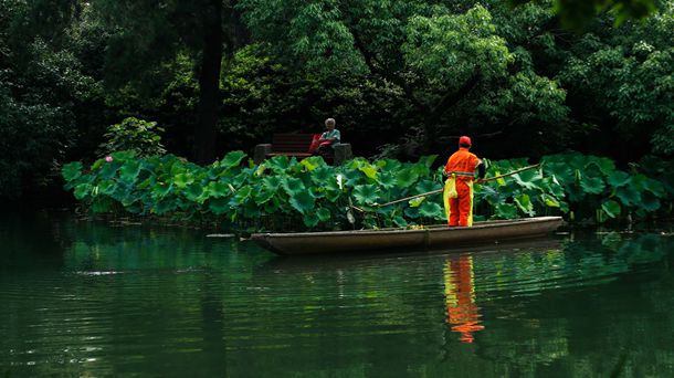 �����ꡱ�ķ������ʲô