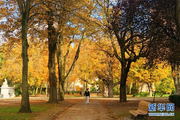 ������Ϸ���ĳɷ磬����������Ϊ�㣬���ѣ�թƭ��������ҵ��Ļ�