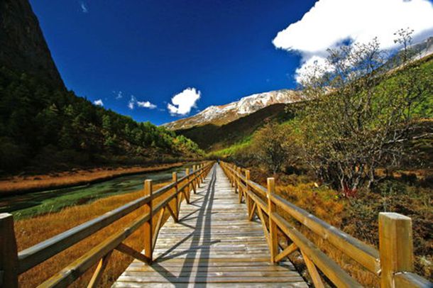 ���Ŵ�����ѡ�ĸ￪��40������Ӱ����С˵�������������ڼ�����