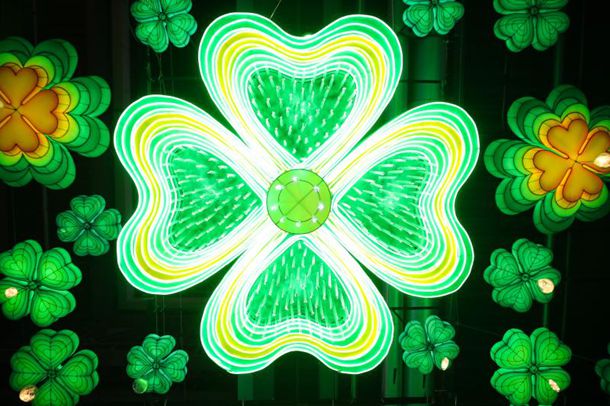 81��������Ա ����ÿ�춼��������