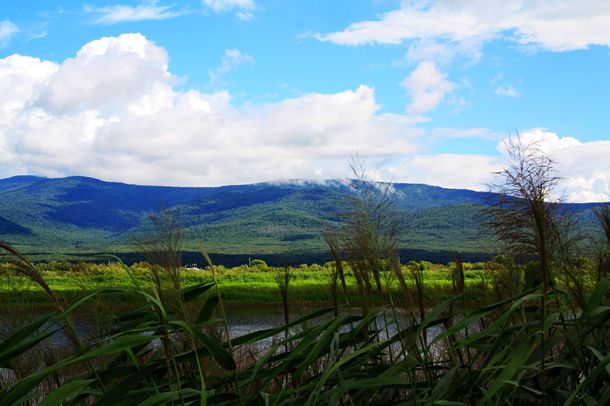 ����ʮһ�¡��������ֳ��H�ˡ����ױ���ֳ�