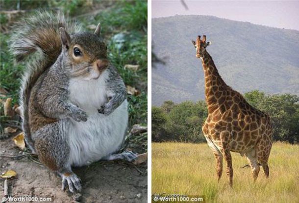 57��֣��ϼ����ֱ���䣬˫�ȱ������أ����14�������߾ܾ�����