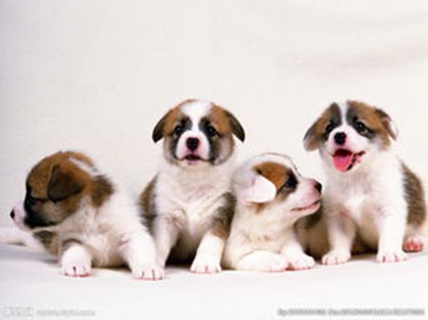 �������贫����������ѧϰ���Ľ̳�ȫ�����£���2024�������޶���PDF