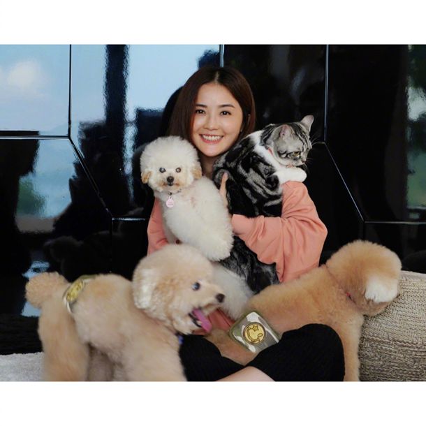 ϲ���ķŵ���΢С˵��