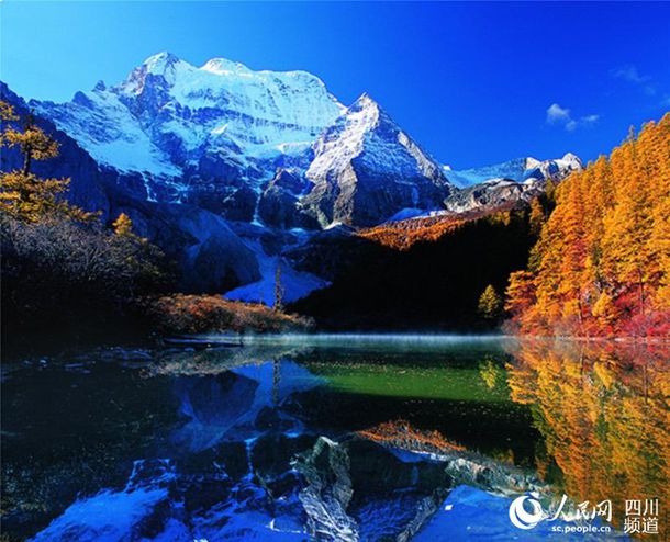 ��ɨ������Ա�� ��ɨ������ɫ����