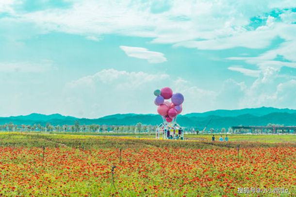 ������覴�һ����ʲô�֣���ô���ͣ�