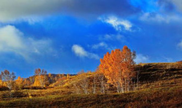 �ż��߹����ŽС����̡�����ϱ֮��Ľ��޸У�������õĻ���֮��