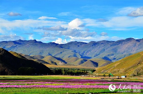 90后女教师上课露底裤“挑逗”,偷拍图片流出,尺度惊人!腿好白 90后女教师上课露底裤“挑逗”,偷拍图片流出,尺度惊人!腿好白