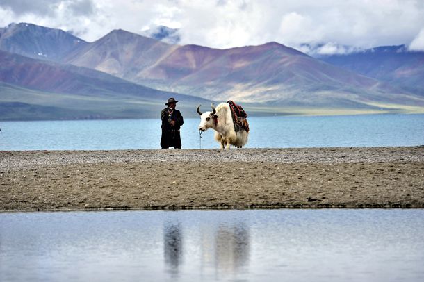 ��������С˵