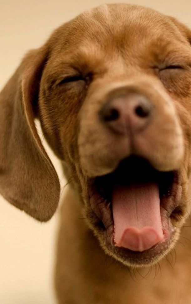 “撞脸”明星大不同六位长相相似的艺人星途各异 “撞脸”明星大不同六位长相相似的艺人星途各异