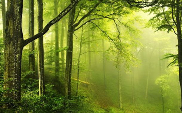 �ҵ�����ʲô