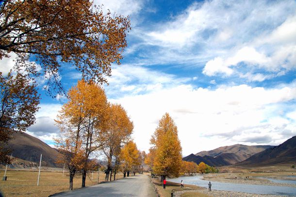 ������ǿ�ƻع飬����Ȧ���Ʋ�����