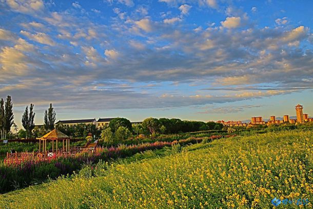 5本青梅竹马言情文,最美好的爱情就是和你两小无猜,再白头偕老 5本青梅竹马言情文,最美好的爱情就是和你两小无猜,再白头偕老