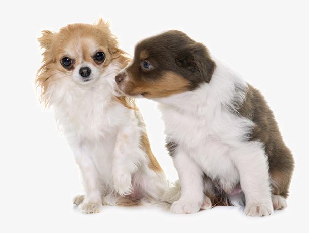 87�桶��¥�Ρ���Ա��״��������Ϸ��Ե�������ã����˻�ɾ�����