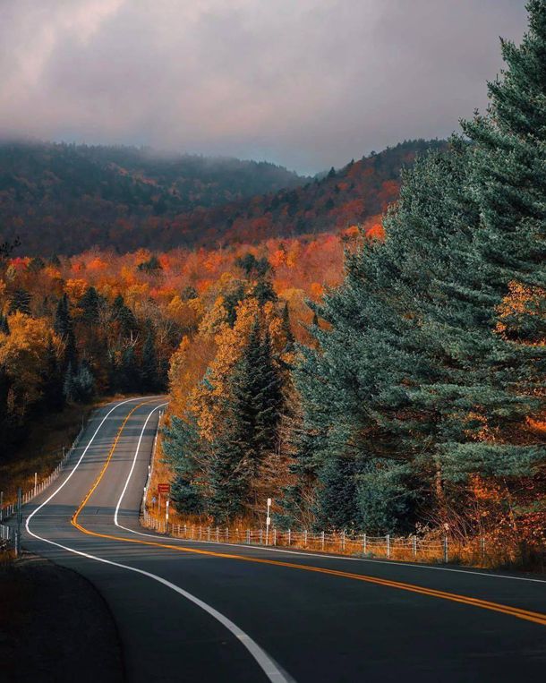 5���汾���أ��ڶ���Ӥ���ʣ����������Σ�Ψ�����������۲���