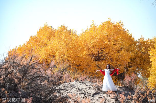 ������������ƭ���㡷��Ա�� ������������ƭ���㡷��ɫ����